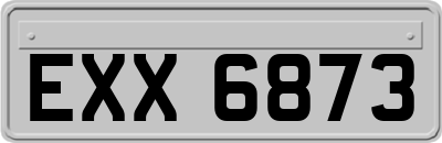 EXX6873