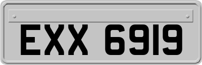 EXX6919