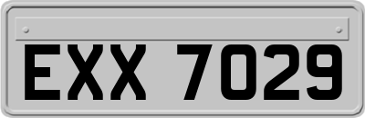 EXX7029