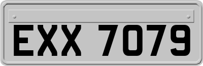 EXX7079