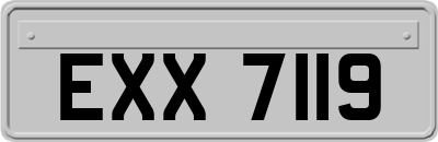 EXX7119