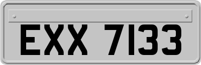 EXX7133