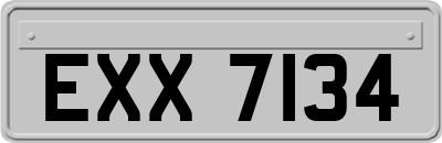 EXX7134