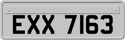 EXX7163