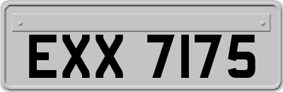EXX7175