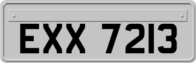 EXX7213