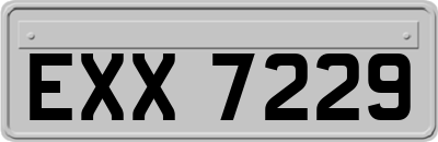 EXX7229