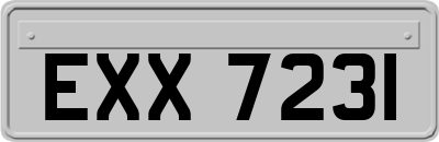 EXX7231