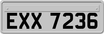 EXX7236