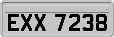 EXX7238