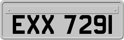 EXX7291