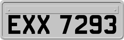 EXX7293