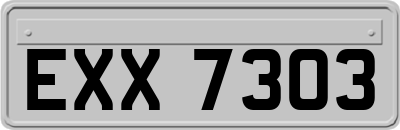 EXX7303