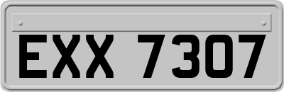 EXX7307