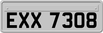 EXX7308
