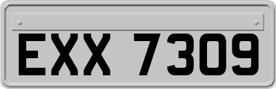 EXX7309