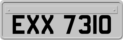 EXX7310