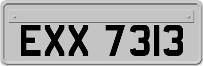 EXX7313