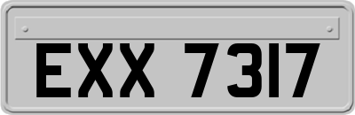 EXX7317