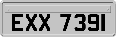 EXX7391
