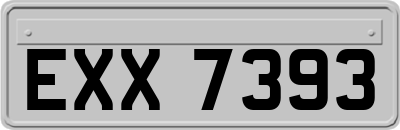 EXX7393