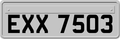 EXX7503