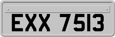 EXX7513