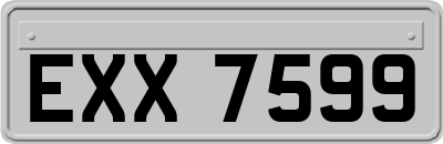 EXX7599