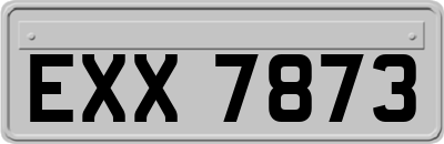 EXX7873