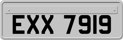 EXX7919