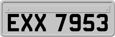 EXX7953