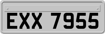 EXX7955
