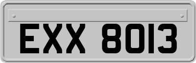 EXX8013