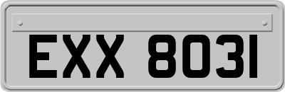 EXX8031