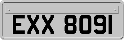 EXX8091