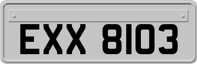 EXX8103