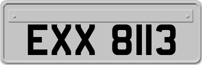 EXX8113