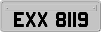 EXX8119