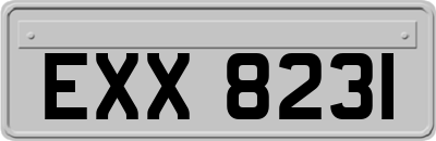 EXX8231