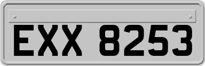 EXX8253