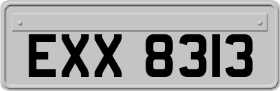 EXX8313