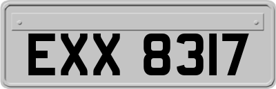 EXX8317