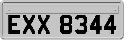 EXX8344
