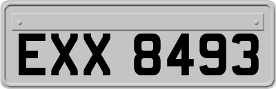 EXX8493