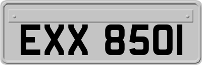 EXX8501