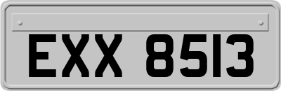 EXX8513