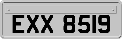 EXX8519