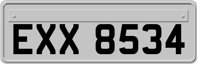 EXX8534