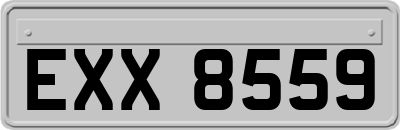 EXX8559