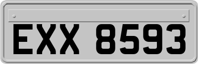 EXX8593
